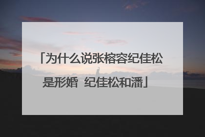 为什么说张榕容纪佳松是形婚 纪佳松和潘