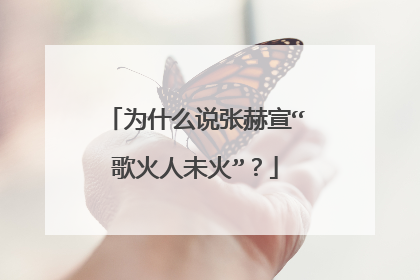 为什么说张赫宣“歌火人未火”？