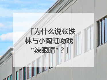 为什么说张铁林与小陶虹吻戏