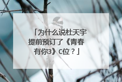 为什么说杜天宇提前预订了《青春有你3》C位？