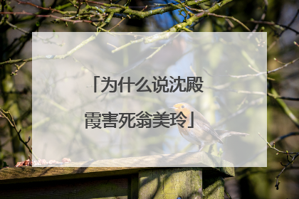 为什么说沈殿霞害死翁美玲