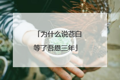 为什么说苍白等了吾恩三年
