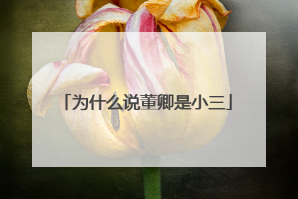 为什么说董卿是小三