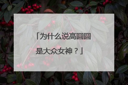 为什么说高圆圆是大众女神？