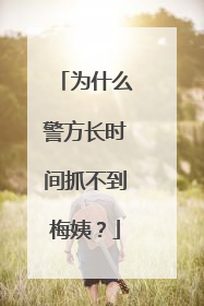 为什么警方长时间抓不到梅姨？