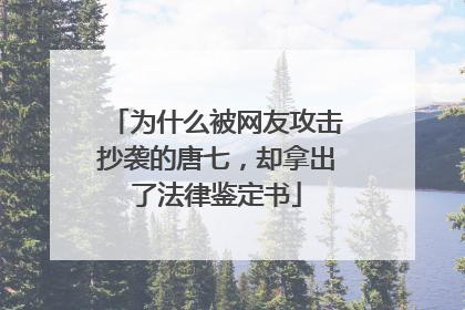 为什么被网友攻击抄袭的唐七,却拿出了法律鉴定书