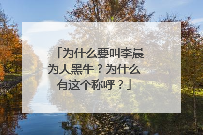 为什么要叫李晨为大黑牛？为什么有这个称呼？