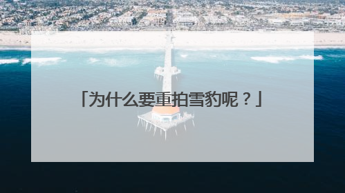 为什么要重拍雪豹呢？
