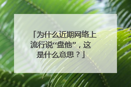 为什么近期网络上流行说“盘他”，这是什么意思？