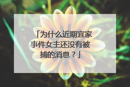 为什么近期宜家事件女主还没有被捕的消息?