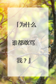 为什么谁都敢骂我?