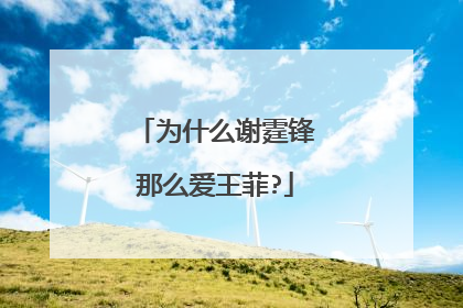 为什么谢霆锋那么爱王菲?