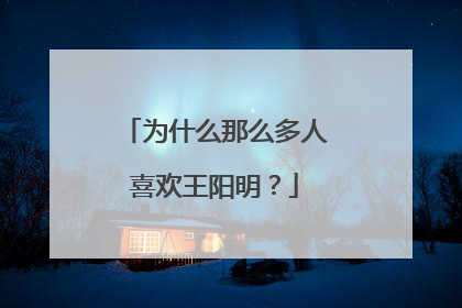 为什么那么多人喜欢王阳明？