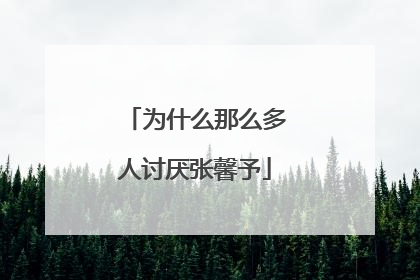 为什么那么多人讨厌张馨予