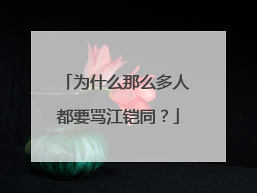 为什么那么多人都要骂江铠同?