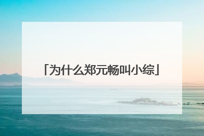 为什么郑元畅叫小综