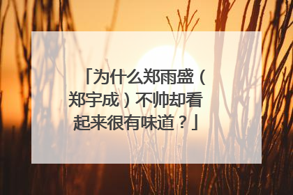 为什么郑雨盛（郑宇成）不帅却看起来很有味道？