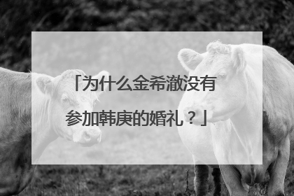 为什么金希澈没有参加韩庚的婚礼?