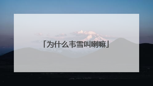 为什么韦雪叫喇嘛