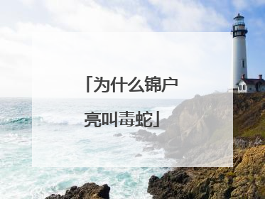 为什么锦户亮叫毒蛇