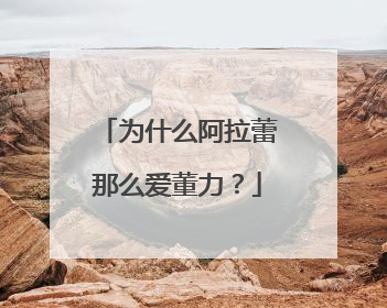 为什么阿拉蕾那么爱董力？