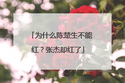 为什么陈楚生不能红？张杰却红了