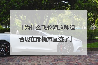为什么飞轮海这种组合现在都销声匿迹了