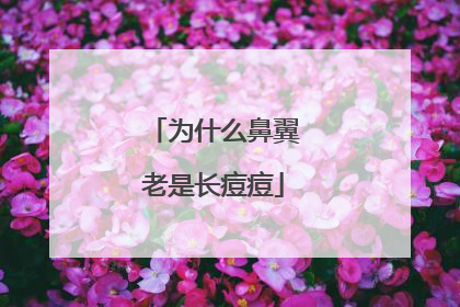 为什么鼻翼老是长痘痘