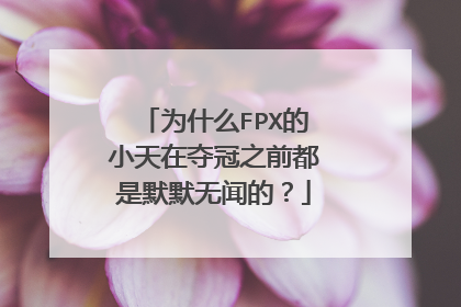 为什么FPX的小天在夺冠之前都是默默无闻的？
