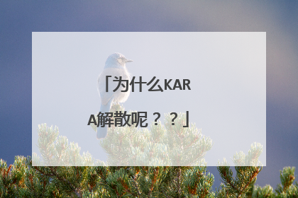 为什么KARA解散呢？？