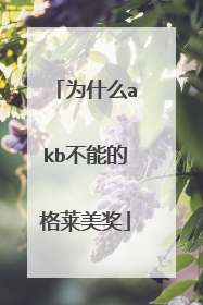 为什么akb不能的格莱美奖