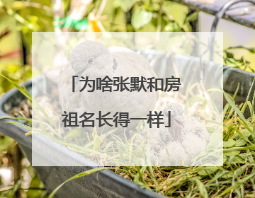 为啥张默和房祖名长得一样