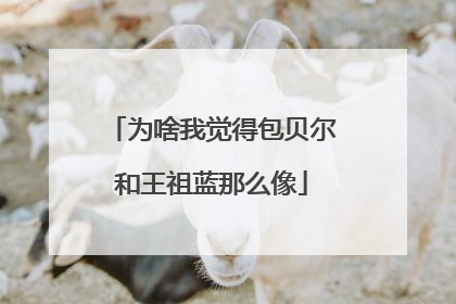 为啥我觉得包贝尔和王祖蓝那么像