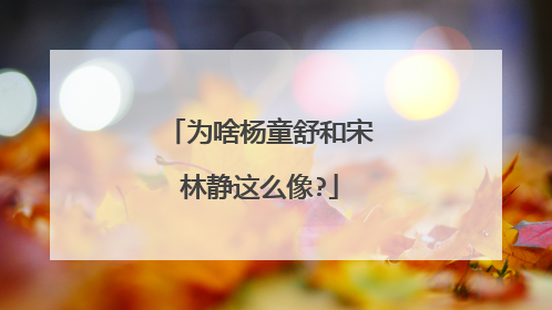 为啥杨童舒和宋林静这么像?