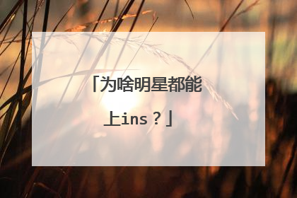 为啥明星都能上ins？