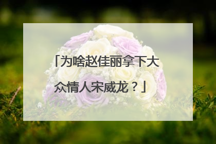 为啥赵佳丽拿下大众情人宋威龙?
