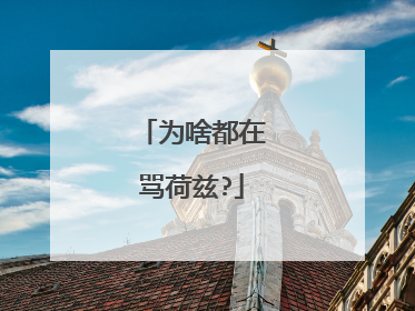 为啥都在骂荷兹?