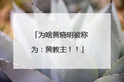 为啥黄晓明被称为：黄教主！！