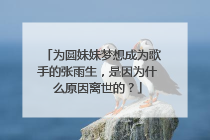 为圆妹妹梦想成为歌手的张雨生,是因为什么原因离世的?