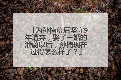 为孙楠幕后坚守9年遭弃,娶了三婚的潘蔚以后,孙楠现在过得怎么样了?