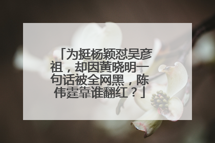 为挺杨颖怼吴彦祖，却因黄晓明一句话被全网黑，陈伟霆靠谁翻红？