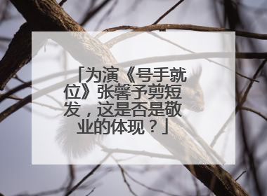 为演《号手就位》张馨予剪短发，这是否是敬业的体现？