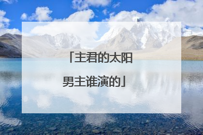 主君的太阳男主谁演的