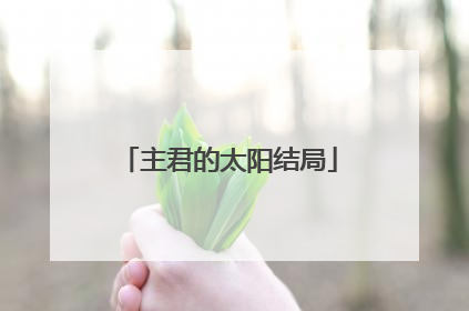 主君的太阳结局