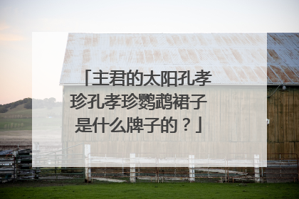 主君的太阳孔孝珍孔孝珍鹦鹉裙子是什么牌子的？