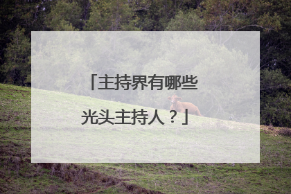 主持界有哪些光头主持人?