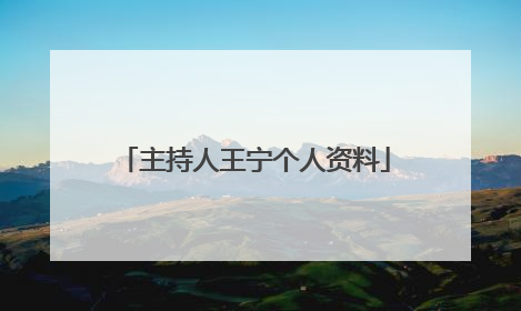 主持人王宁个人资料