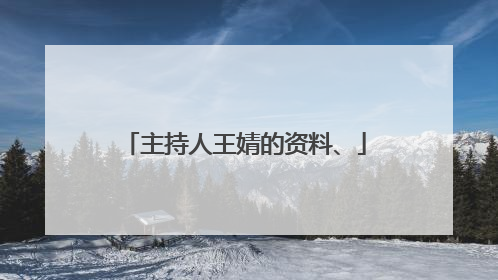 主持人王婧的资料、