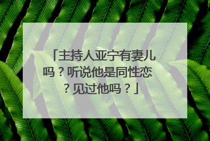 主持人亚宁有妻儿吗？听说他是同性恋？见过他吗？