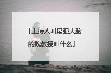 主持人叫最强大脑的魏教授叫什么